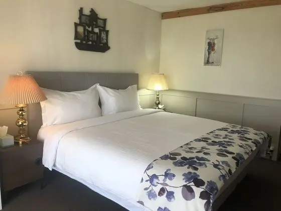 Comfort Tek Kişilik Oda, 1 En Büyük (King) Boy Yatak