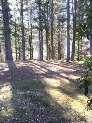 Kulübe, 1 Yatak Odası, Sigara İçilmez, Mutfak