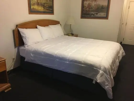 Comfort Oda, 1 En Büyük (King) Boy Yatak, Engellilere Uygun, Sigara İçilmez