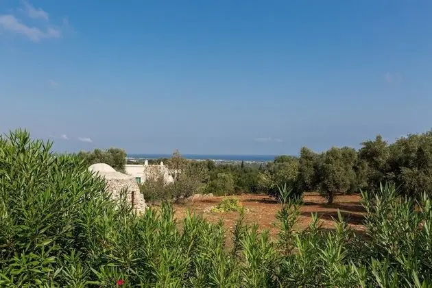 Panoramic Villa, 4 Yatak Odası (1235)