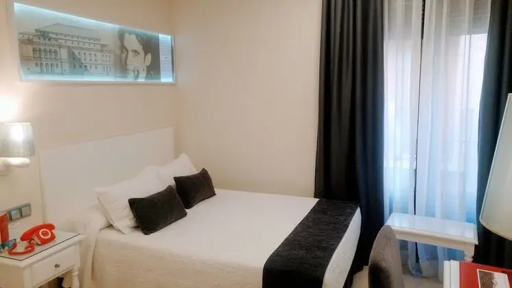 Standard Tek Kişilik Oda, 1 Çift Kişilik Yatak