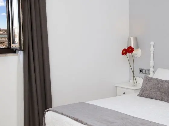 Standard Tek Kişilik Oda, 1 Çift Kişilik Yatak