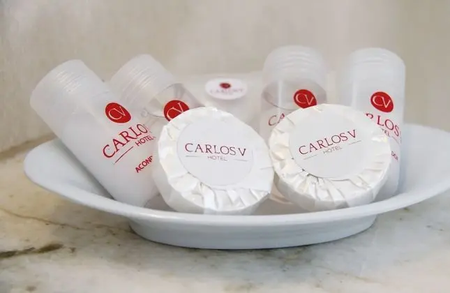 Superior İki Ayrı Yataklı Oda