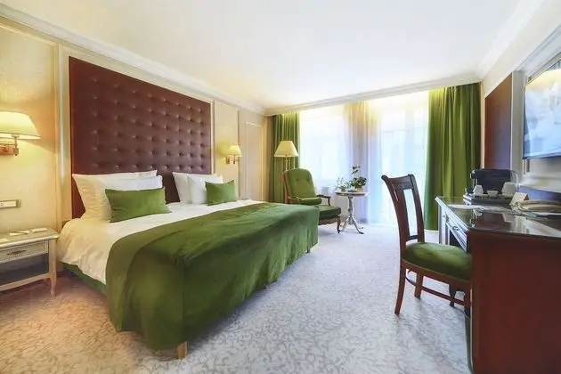 Deluxe Tek Büyük Yataklı Oda (Wellness and Fitness access)