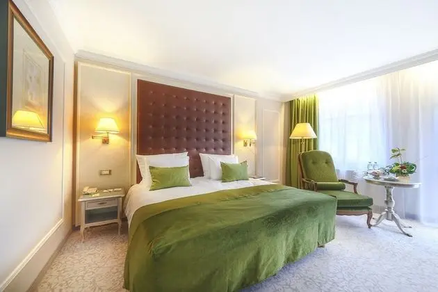Deluxe Tek Büyük Yataklı Oda (Wellness and Fitness access)