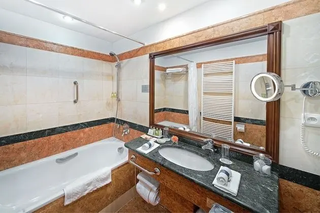 Deluxe Tek Büyük Yataklı Oda (Wellness and Fitness access)