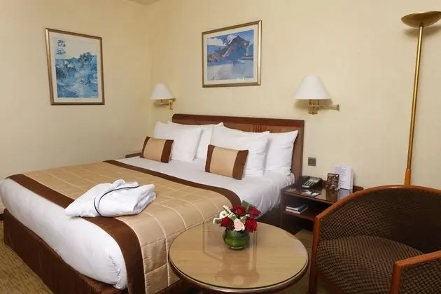 Premium Oda, Şehir Manzaralı