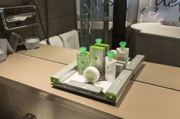 Superior Büyük Yataklı Tek Kişilik Oda, Şehir Manzaralı