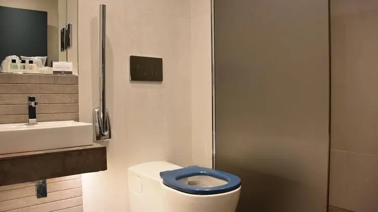 Classic Tek Büyük Yataklı Oda, Engellilere Uygun, Zemin Kat