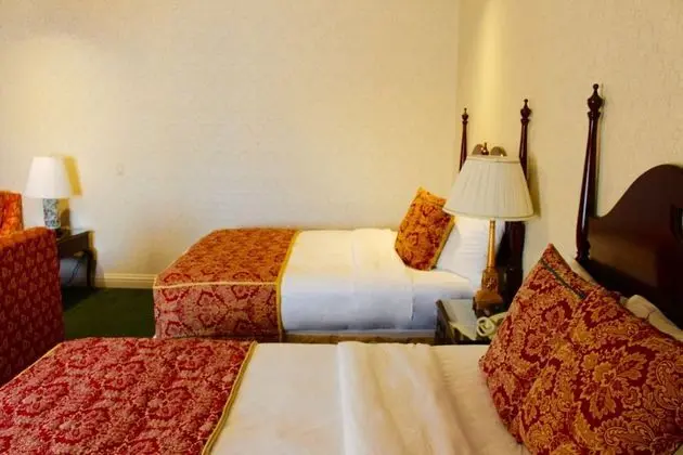 Deluxe Tek Büyük Yataklı Oda, 2 Çift Kişilik Yatak