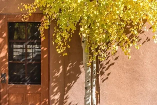 Ev (Carmel - Elegant East Side Adobe with)