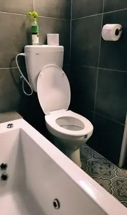 Design Stüdyo