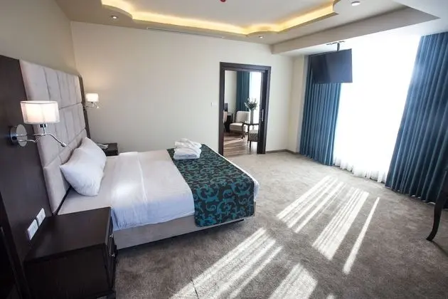 Executive Süit, 1 En Büyük (King) Boy Yatak, Şehir Manzaralı