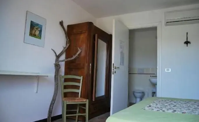 Superior Tek Büyük Yataklı Oda, Birden Çok Yatak