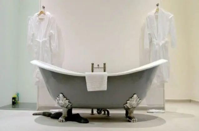 Banyo