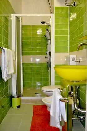 Standard Tek Büyük Yataklı Oda (Verde)