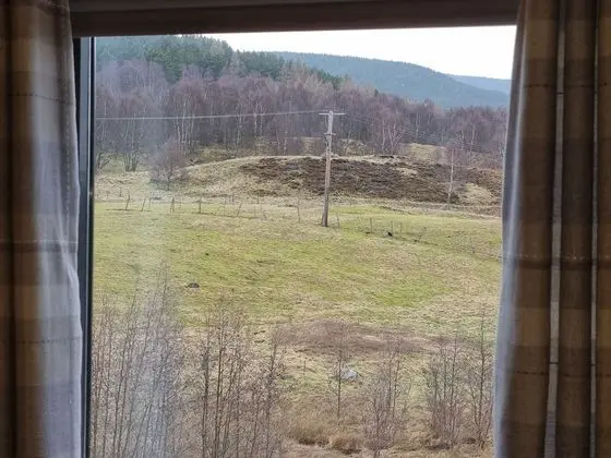 Standart, Üç Tek Kişilik Yataklı
