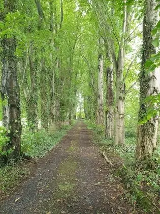 Bungalov, Banyolu/Duşlu