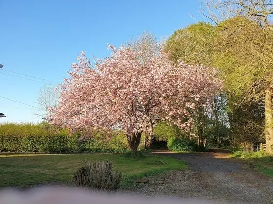 Bungalov, Banyolu/Duşlu