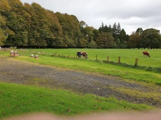 Bungalov, Banyolu/Duşlu