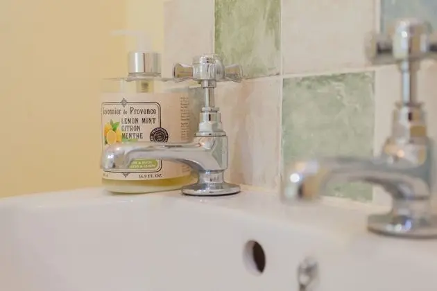 Traditional Ev, Banyolu/Duşlu, Bahçe Manzaralı