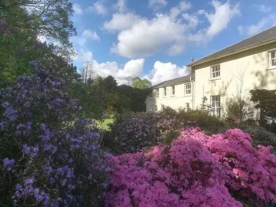 Traditional Ev, Banyolu/Duşlu, Bahçe Manzaralı