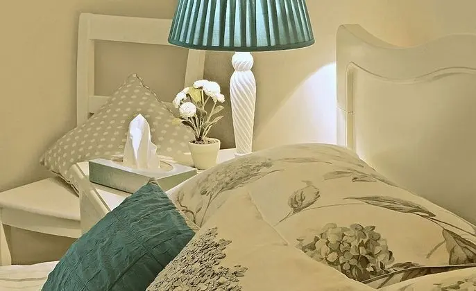 Luxury Tek Büyük Yataklı Oda (Camelot)