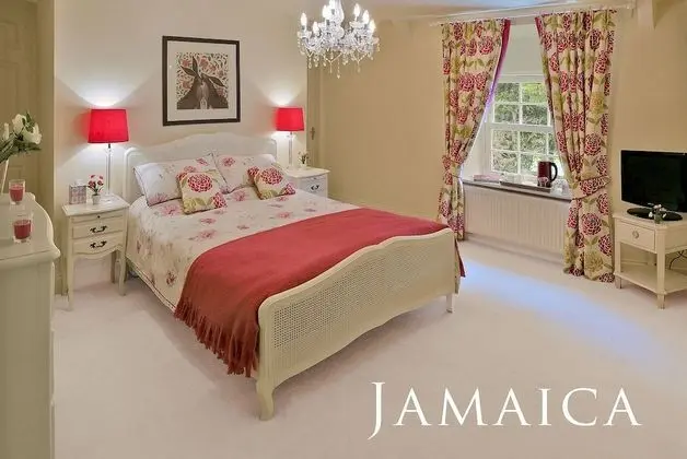 Luxury Tek Büyük Yataklı Oda (Jamaica)