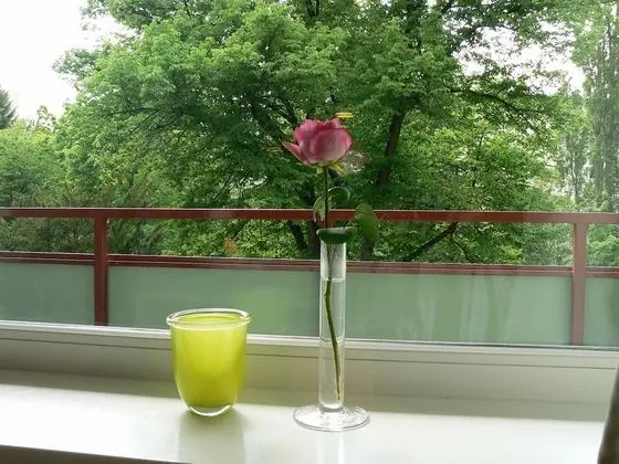 Comfort Tek Kişilik Oda