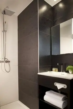 Standard Tek Büyük Yataklı Oda, 1 Çift Kişilik Yatak (Shower)