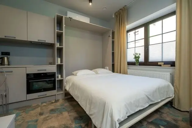 Premium Stüdyo Süit (Karp w galarecie - B)