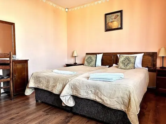 Economy Tek Büyük veya İki Ayrı Yataklı Oda, Dağ Manzaralı