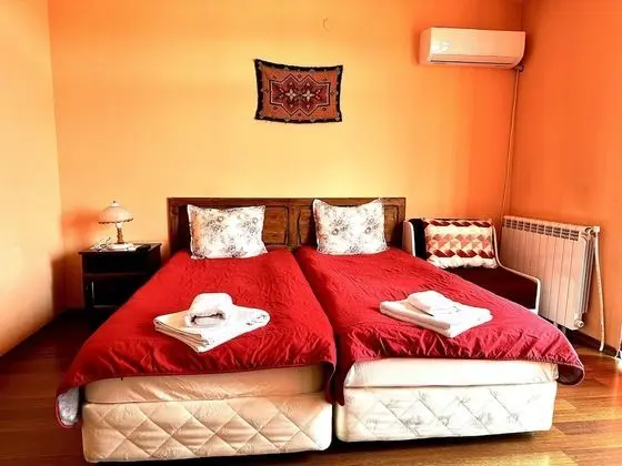 Standard Tek Büyük veya İki Ayrı Yataklı Oda, Balkon, Dağ Manzaralı