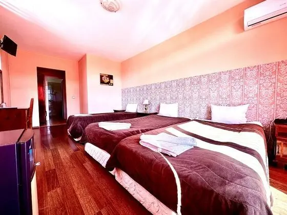 Standard Üç Kişilik Oda, Balkon, Dağ Manzaralı (+extra bed)