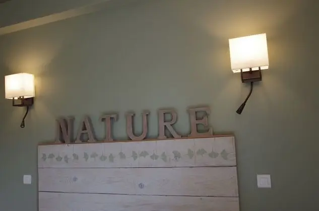 Tek Büyük Yataklı Oda (Côté Nature )