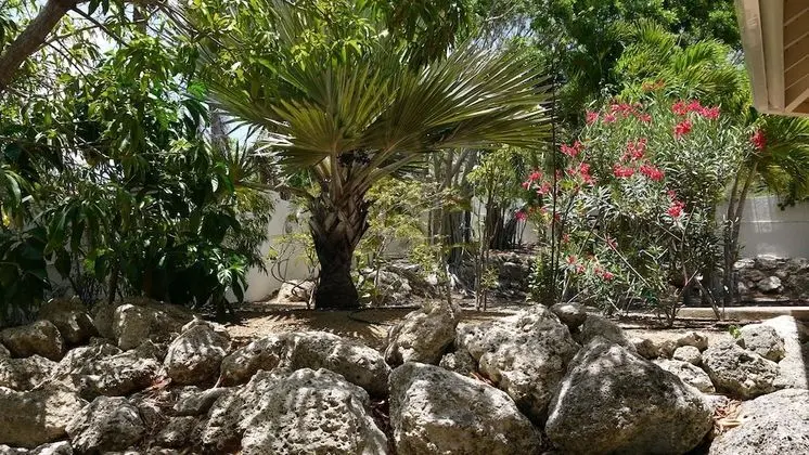 Exclusive Villa, 5 Yatak Odası