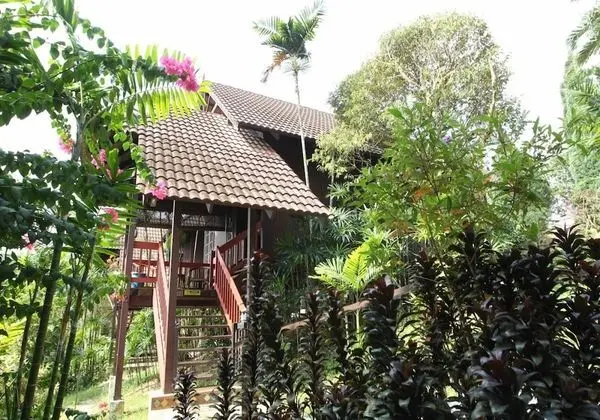 Family Stüdyo (Rambutan)