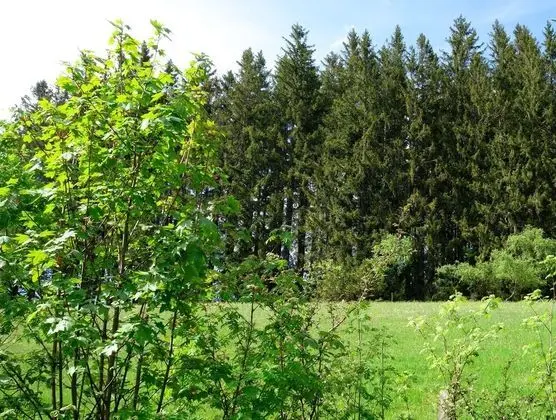 Apart Daire, Özel Banyo (46m2 mit zwei Zimmern)