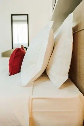 Standard Tek Büyük Yataklı Oda, 1 Çift Kişilik Yatak