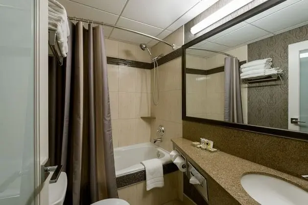 Premium Oda, 2 Büyük (Queen) Boy Yatak (Breakfast for up to 2 adults)