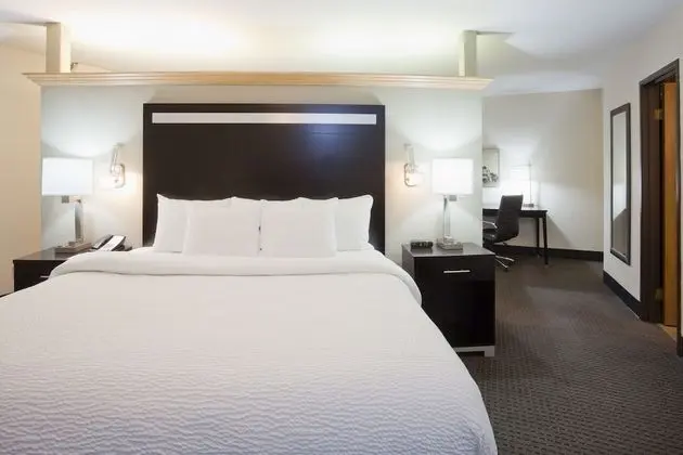 Honeymoon Stüdyo Süit