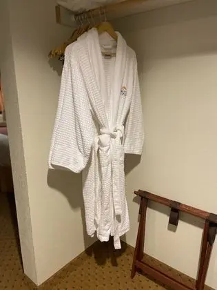 Deluxe Oda, 1 En Büyük (King) Boy Yatak, Sıcak Su Havuzu