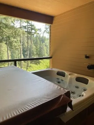 Deluxe Oda, 1 En Büyük (King) Boy Yatak, Sıcak Su Havuzu