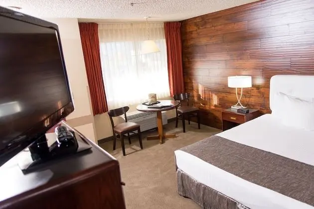 Oda, 1 En Büyük (King) Boy Yatak, Sigara İçilebilir (MOTOR LODGE)