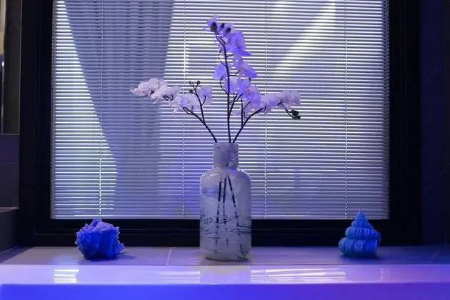 Tek Büyük Yataklı Oda, Jakuzi