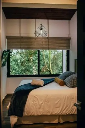 Suites vistas al Bosque - 1 King Bed