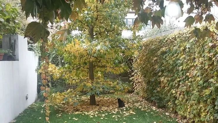 İki Ayrı Yataklı Oda, Bahçe Manzaralı (2º floor)