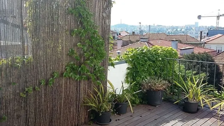 Tek Büyük Yataklı Oda, Teras (3º floor)