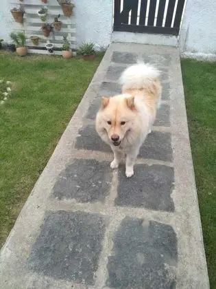 Ev, 2 Yatak Odası, Bahçe Manzaralı