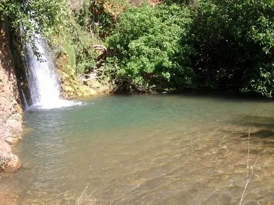 Oda, 1 Yatak Odası, Mikrodalga